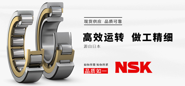  日本NSK轴承